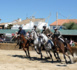 Les Chevaux du Sud aux Saintes-Maries
