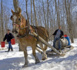 Les cabanes à sucre au Québec, traditions gourmandes