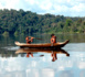 L'extraordinaire biodiversité du Parc Amazonien de Guyane