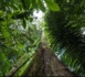 Nouveau site pour le Parc Amazonien de Guyane