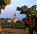 Reichenau, l'Ile du monastère