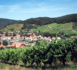 "Fascinant Week-End Vignobles &amp; Découvertes" en Alsace