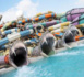 Nouveau parc aquatique d'Abu Dhabi