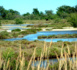 Balades dans la France des Parcs naturels