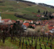 Alsace : pas de retraite pour la Route des vins
