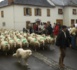 "Les Folies Béarnaises" : Transhumance sur les Champs-Elysées