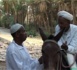 Voyage au Sud Maroc : l'Oasis de Tagmout (Vidéo)