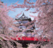 Sur les sentiers des cerisiers en fleurs de Tohoku au Japon