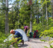 Tourisme responsable en Forêt Noire