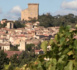 La Maison Brotte, une histoire de famille à Châteauneuf-du-Pape  (Vidéo)