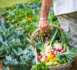 Relais et Châteaux : du potager à la table des gourmets