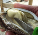 L'huître "Spéciale Tarbouriech" sur les tables des Chefs étoilés (Vidéo)