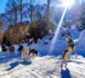 Expérience nordique au pied des Pyrénées