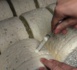Dans le secret des caves du Roquefort Carles