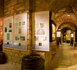 Le M. Musée du Vin, un lieu unique parisien