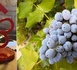 La première sélection des grappes du Guide Michelin