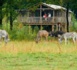 Evasion africaine en Auvergne aux Lodges du PAL