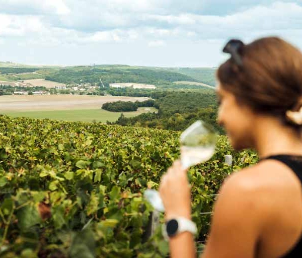 Voyage au cœur de la Champagne
