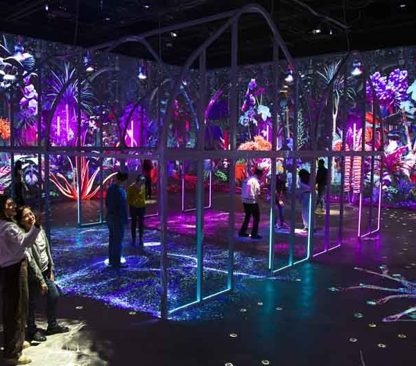 Les nouvelles expériences immersives du Futuroscope