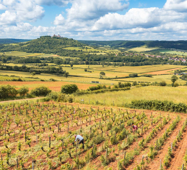 Les Lueurs de Vézelay, un écrin de célébrations