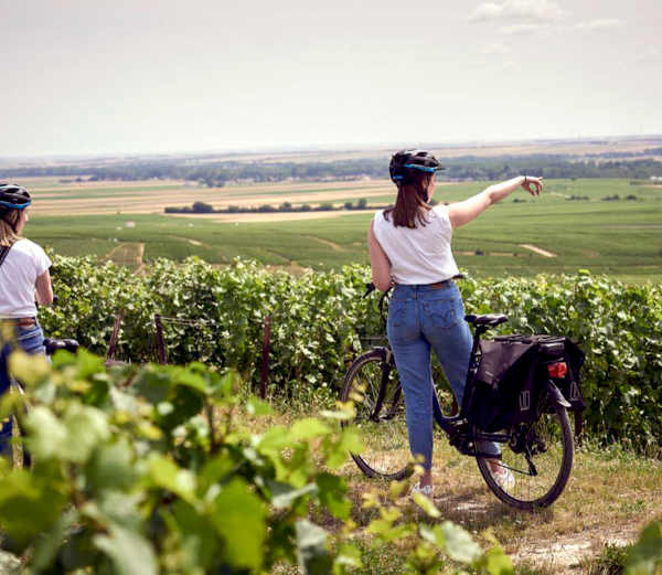 Escapades pétillantes à vélo dans le vignoble champenois