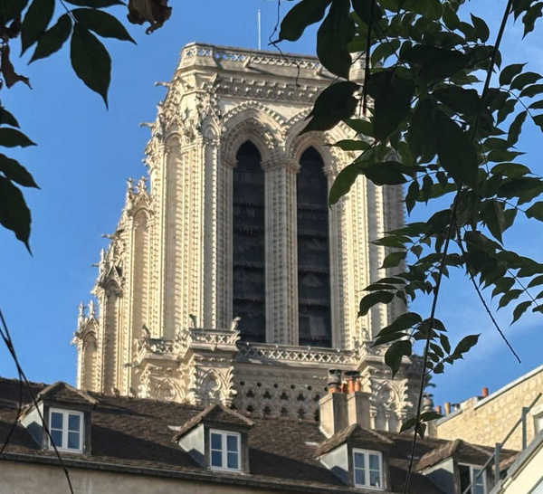 Les tours de Notre-Dame, une visite exceptionnelle
