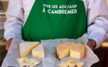 Le Festival des AOC-AOP de Cambremer célèbre le goût