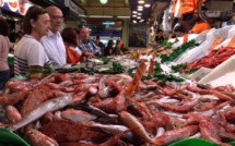 Très bel étal de poissons et fruits de mer sur le grand marché El Olivar de Palma - © Jean-Louis Corgier