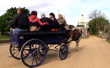 Slow Tourisme sur de l’île anglo-normande de Sark