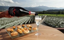 Quels vins pour les repas de Noël et de Nouvel An ?