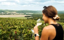 Voyage au cœur de la Champagne