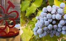 La première sélection des grappes du Guide Michelin